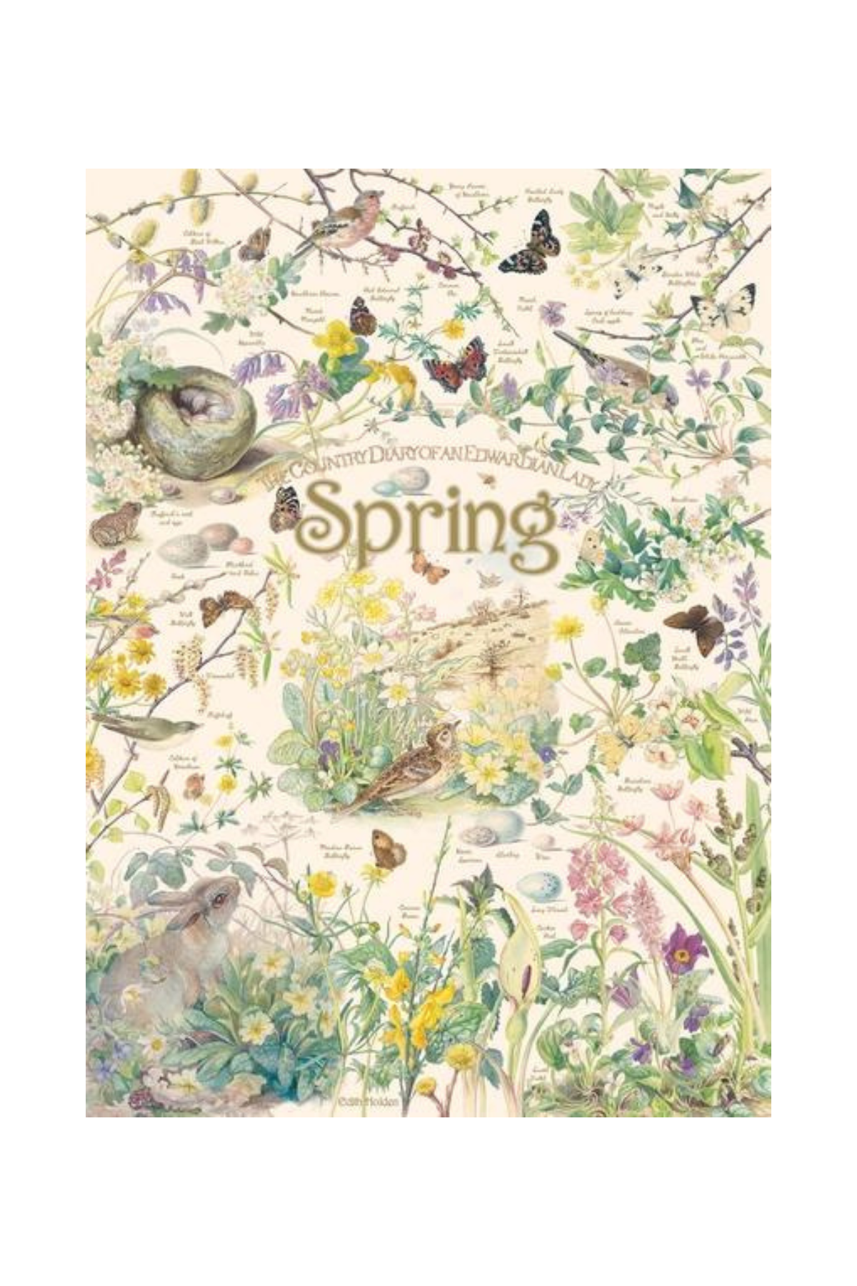 Country Diary: Spring 1000pc Puzzle